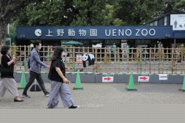 当地时间9月20日为日本四连休小长假的第二天,外出民众明显增多。图为民众走进东京上野动物园。
<a target='_blank' href='http://www.chinanews.com/'>中新社</a>记者 吕少威 摄 点击进入下一页