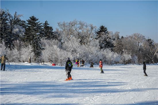 冰雪吉林引凤来:以冰雪之名,书写吉林振兴之精彩 冰雪吉林引凤来:以冰雪之名,书写吉林振兴之精彩