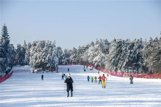 长春净月潭滑雪场开板:雪淞雾凇间穿行感受“梦境般”乐趣 长春净月潭滑雪场开板:雪淞雾凇间穿行感受“梦境般”乐趣