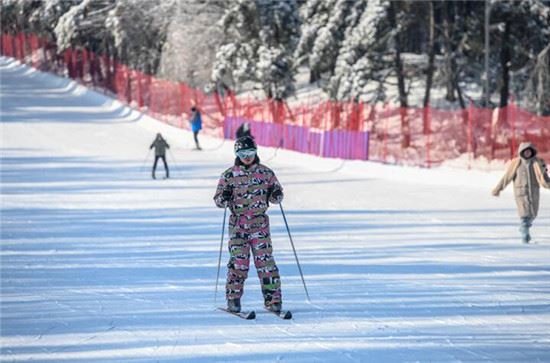 长春净月潭滑雪场开板:雪淞雾凇间穿行感受“梦境般”乐趣 长春净月潭滑雪场开板:雪淞雾凇间穿行感受“梦境般”乐趣